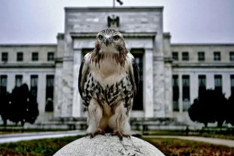 Pernyataan anggota FOMC menguatkan spekulasi rate hike desember
